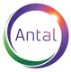 Antal International Network logo