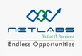 Netlabs Global (India) Pvt Ltd logo