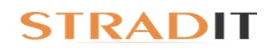 StradIT India Pvt Ltd logo